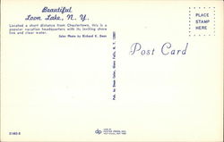 back
