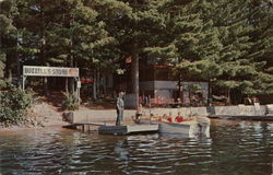 Buzzell's Grove, Kingston Lake New York Postcard Postcard Postcard