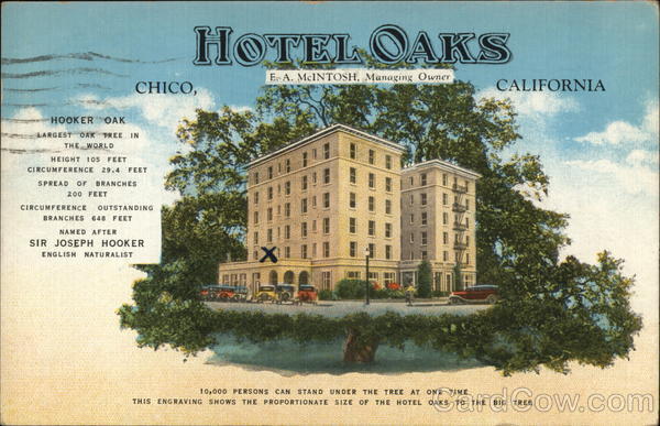 Hotel Oaks Chico California