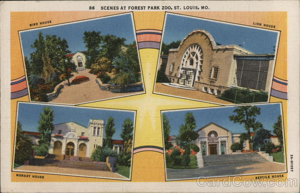 Forest Park Zoo St. Louis Missouri