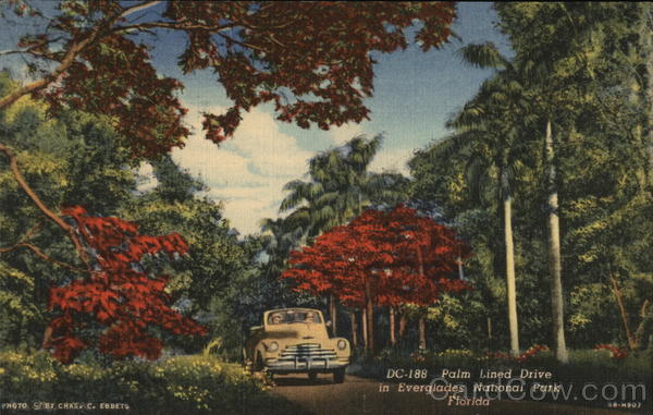 Everglades National Park Florida