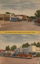 Business Section, Mandalay Road Clearwater, FL Postcard Postcard Postcard