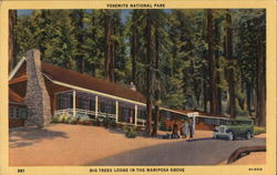 Big Trees Lodge in the Mariposa Grove Postcard