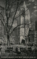 Madison Square, New York Life Building Postcard Postcard Postcard
