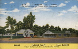 Indian Rocks Fruit Inc. Postcard
