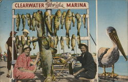 Clearwater Florida Marina Postcard Postcard Postcard