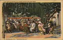Ope Air Bridge Play under Banyan and Palm Trees St. Petersburg, FL Postcard Postcard Postcard