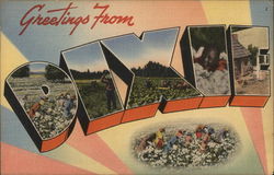 Greetings From Dixie Postcard