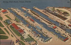 Shrimp Fleet Docks Tampa, FL Postcard Postcard Postcard