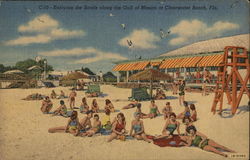 Enjoying the Sands Along the Gulf of Mexico Clearwater Beach, FL Postcard Postcard Postcard