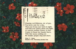 Hibiscus Flowers Postcard Postcard Postcard