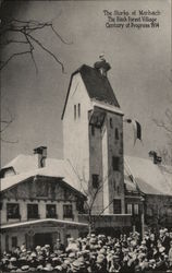 The Storks of Marbach, Black Forest Village 1933 Chicago World Fair Postcard Postcard Postcard
