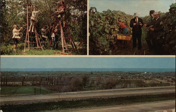 Greetings from North East Pennsylvania