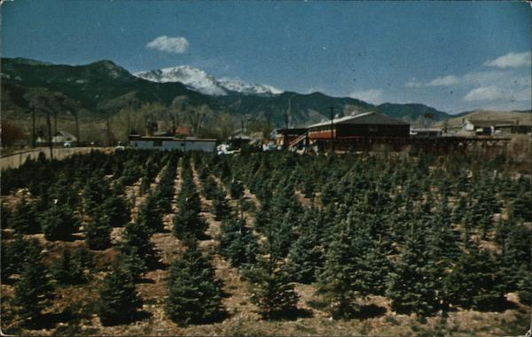 Rick's Country Corner Colorado Springs