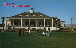 The Tropicana Hotel Postcard