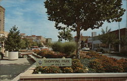 Shopping Park, 1962 Postcard