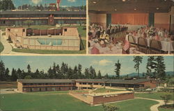 Tyee Motor Inn Postcard