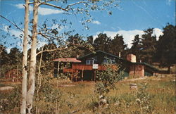 Luella Gooding Lodge Meadow Mountain Ranch Postcard