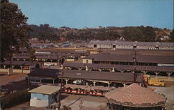 Maryland State Fairgrounds Postcard