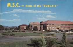 M.S.C.- Home of the "Bobcats" Postcard