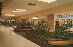 Woolworth of Brookfield Square Postcard