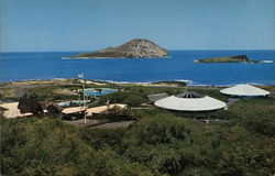 Sea Life Park, Makapuu Point, Oahu Postcard