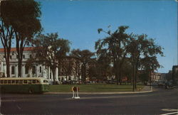 View Across the Green Postcard