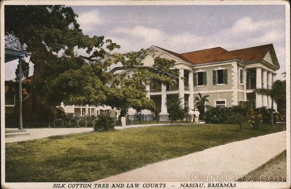 Silk Cotton Tree and Law Courts Nassau Bahamas Caribbean Islands