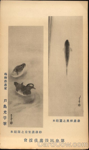 Ducks and Fish Japan