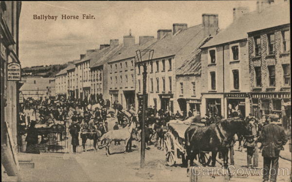Horse Fair Ballybay Ireland