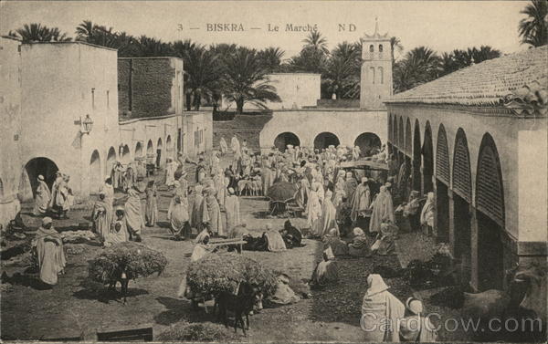 The Market Biskra Algeria Africa