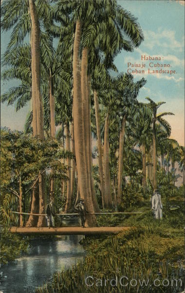 Habana: Cuban Landscape Havana