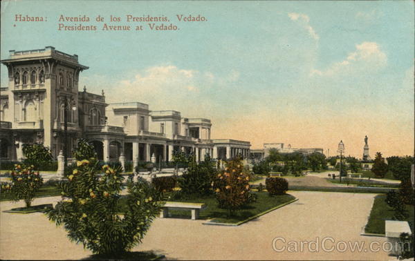 Presidents Avenue at Vedado Havana Cuba
