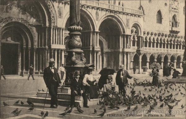 Venezia - I Piccioni in Piazza S. Marco Venice Italy