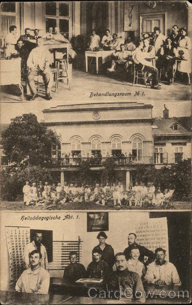 The Hospital for Head Injuries and Nerve Disorders, Vienna Austria