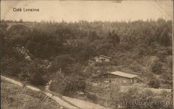 Woodland Scene, Loraine France