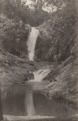 Cedar Creek Falls Queensland, Australia Postcard Postcard