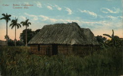 Cuba Country Hut Postcard