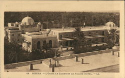 Oasis, Casino and Palace Hotel Postcard