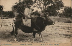 Stock #603055 Thumbnail