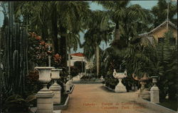 Columbus Park Gardens Postcard