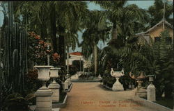 Columbus Park Gardens Havana, Cuba Postcard Postcard