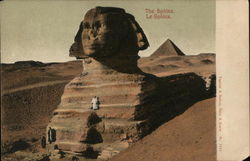 The Sphinx Postcard