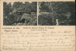 Garden of Antonio Borges Ponta Delgada, Portugal Postcard Postcard Postcard