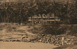 Les bons coins de la Guyane Postcard