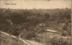 Woodland Scene, Loraine Postcard