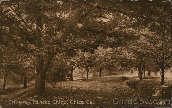 Driveway, Rancho Chico California