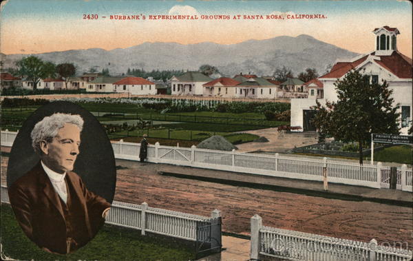 Burbank's Experimental Grounds Santa Rosa California