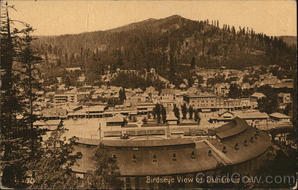 Birdseye View Dunsmuir California