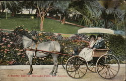 A Sunday Ride at Westlake Park Los Angeles, CA Postcard Postcard Postcard